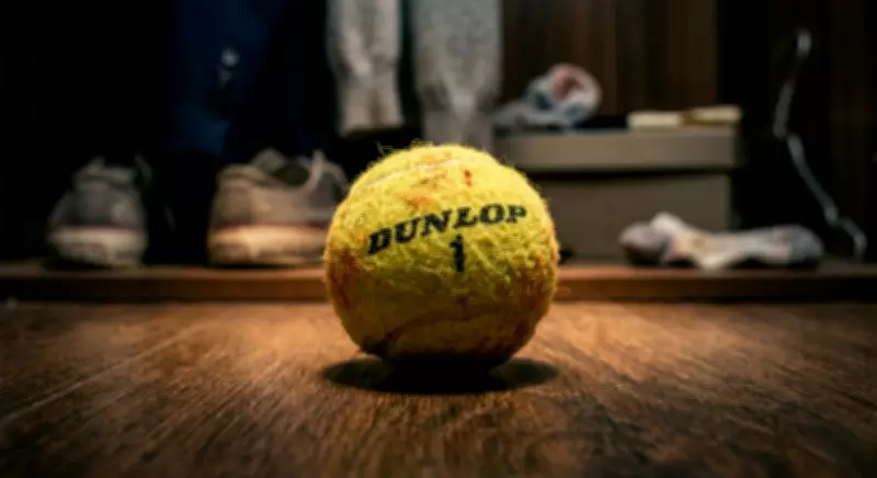The Surprising Travel Essential: Why a Tennis Ball Belongs in Your Carry-On