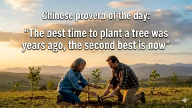 The Timeless Wisdom of a Chinese Proverb: Why 'Now' is the Second-Best Time to Start