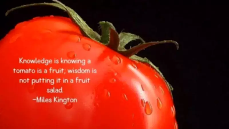 The Tomato Wisdom: A Humorous Lesson on Knowledge vs. Common Sense