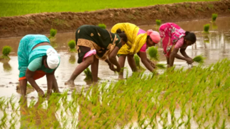 The Unseen Indian Farmer: A Crisis of Recognition and Policy