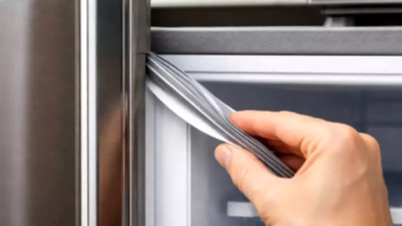 The Unsung Hero of Your Fridge: How the Rubber Gasket Saves Energy and Keeps Food Fresh