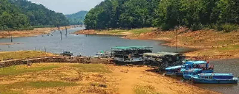 Thekkady Lake Dries Up, Forcing Boat Capacity Cuts Amid Summer Heat