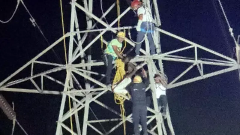 Three-Hour Rescue of Mentally Unstable Youth from High-Tension Tower in Pune