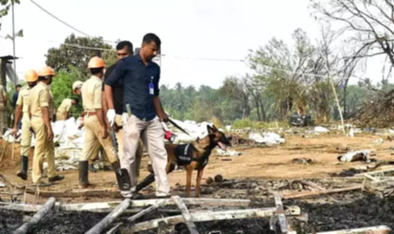 Thrissur Pooram 2024 Likely Scaled Down After Fireworks Tragedy Claims 14 Lives