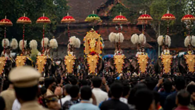 Thrissur Pooram Celebrations Curtailed After Fireworks Tragedy