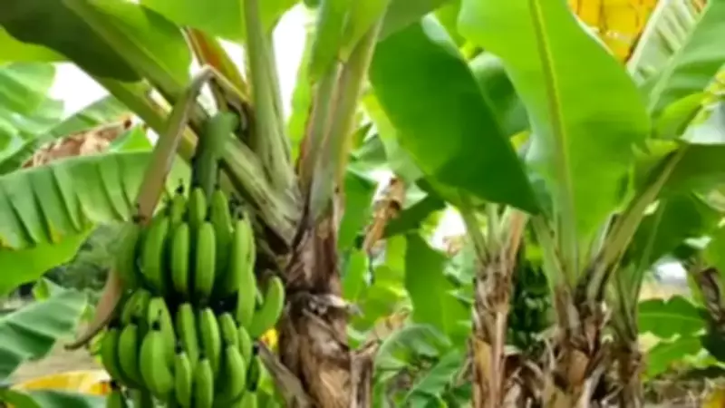 Thursday Special: 6 Rituals for Prosperity and Positivity in 2026