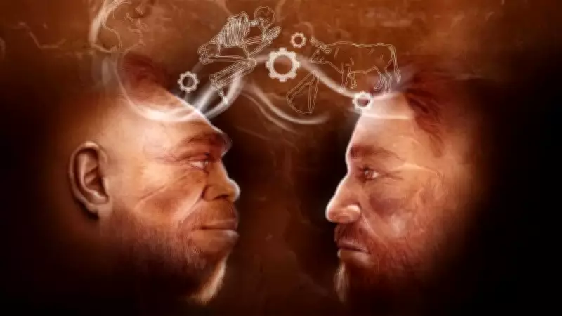 Tinshemet Cave Research Reveals Complex Neanderthal-Homo Sapiens Interactions