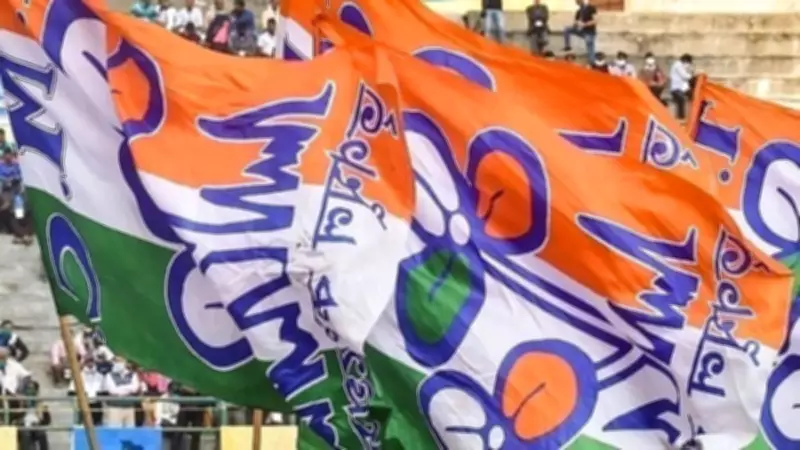 TMC MP Alleges Attack by BJP 'Goons', EC Seeks Report on West Bengal Incident