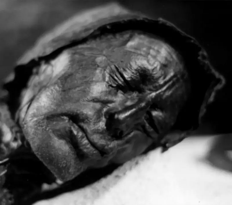 Tollund Man: 2000-Year-Old Bog Mummy Discovered in Denmark