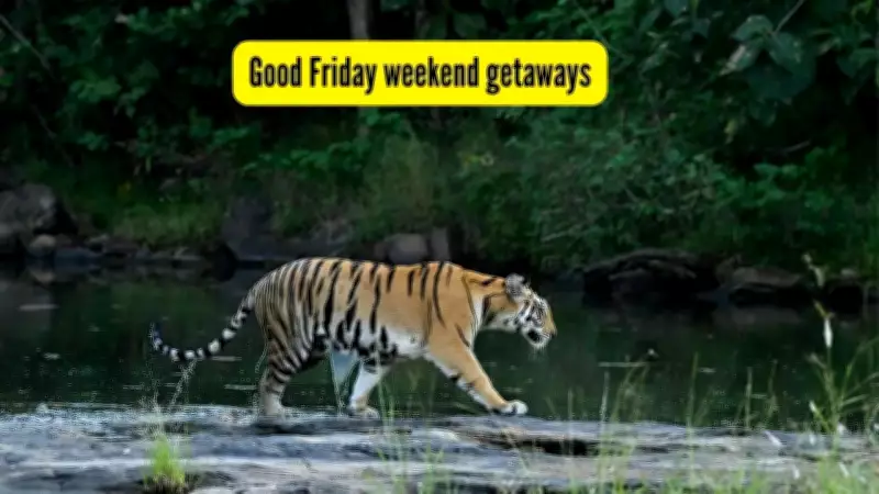 Top 5 National Parks in India for a Memorable Good Friday Weekend Getaway