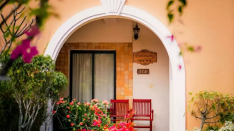 Transform Your Home's Energy: Best Plants for the Entrance According to Vastu