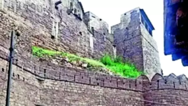 Treasure Hunters Dig Secret Tunnel in ASI-Protected Narwar Fort in Madhya Pradesh