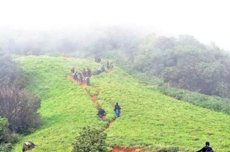 Trekker's Disappearance Sparks Urgent Call for Safer Ecotourism in Karnataka Forests