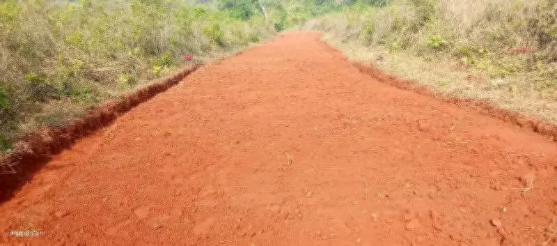 Tribals in Andhra Pradesh Build Road After 40 Years of Government Neglect