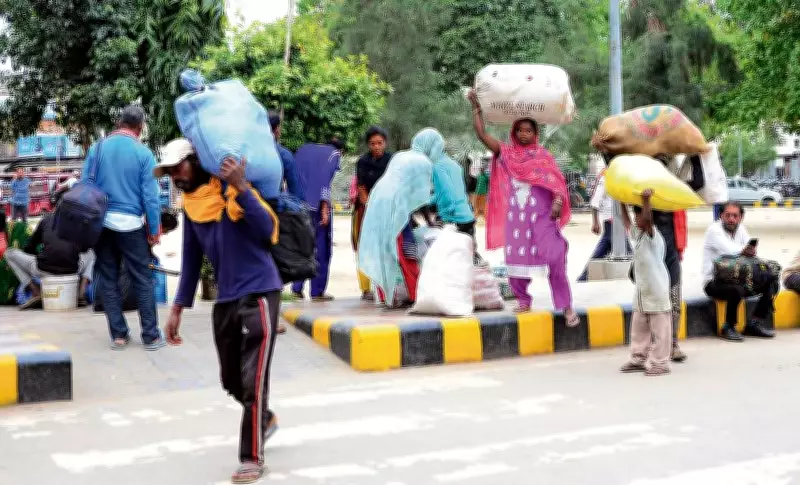 Tribune Impact: LPG Relief for Migrants as Agencies Directed to Supply Smaller Cylinders