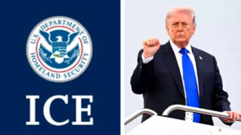 Trump backs renaming ICE to NICE, viral proposal sparks debate
