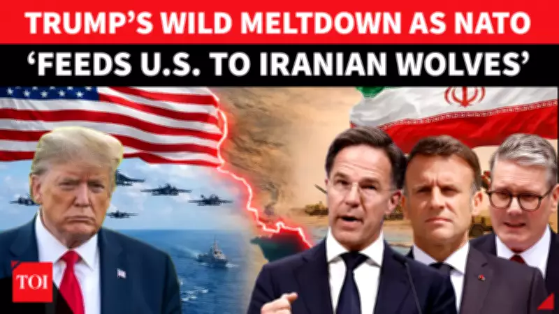 Trump Blasts NATO Allies Over Iran Strategy, Warns of Alliance Rift