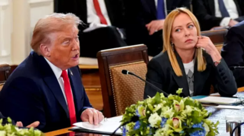 Trump Expresses Shock, Criticizes Italian PM Meloni Over Iran and Pope Remarks