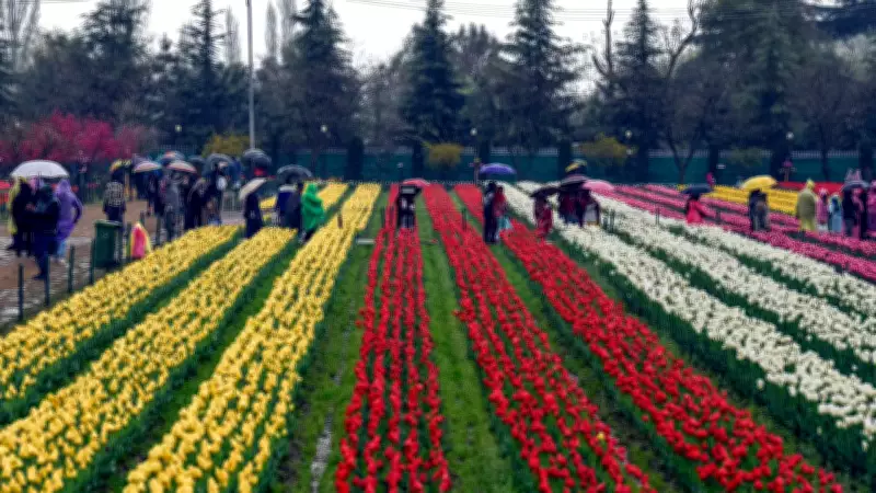 Tulip Garden Visit Boosts Hope for Cancer-Stricken Children in Srinagar