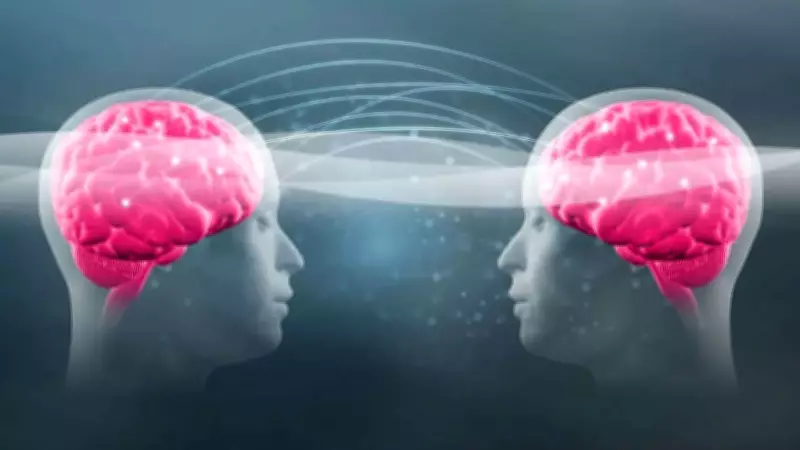 Twin Telepathy Challenge: Viral Video Shows Identical Twins' Uncanny Synchronicity