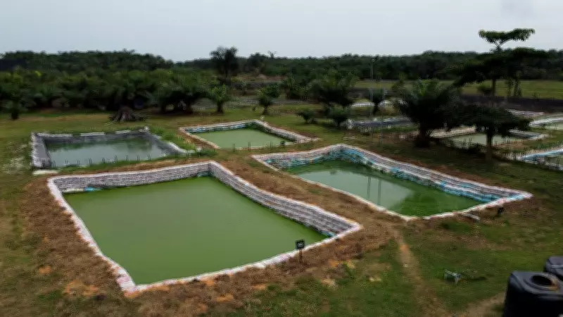 Two Children Drown in Farm Pond in Tumakuru