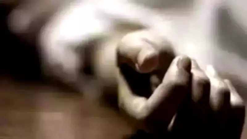 Two Killed, Driver Injured in Poultry Truck Crash on Pune-Bengaluru Highway