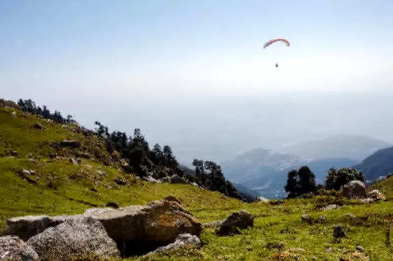 Two Paragliders Heli-Rescued After Crash in Himachal's Kangra