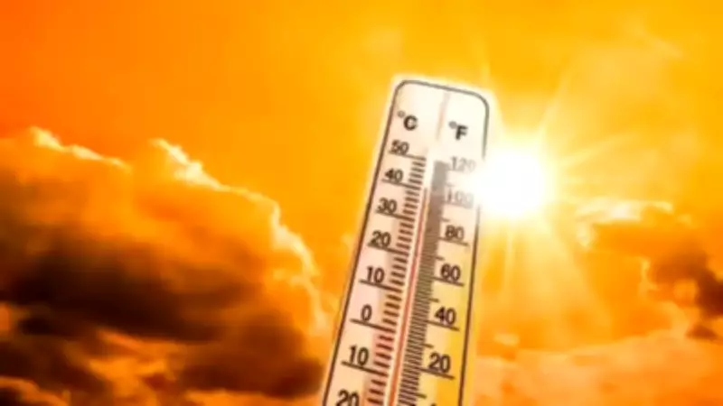 Two Teachers on Census Duty Die of Suspected Sunstroke in Odisha
