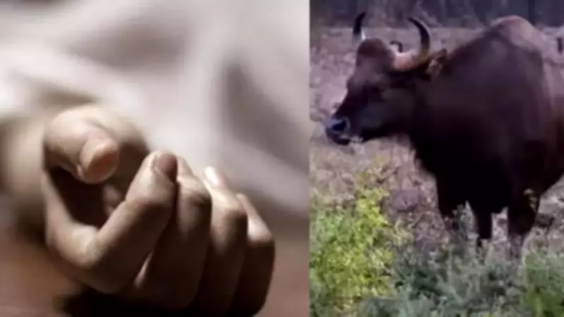 Two Women Killed by Wild Bison While Collecting Flowers in Latehar Forest