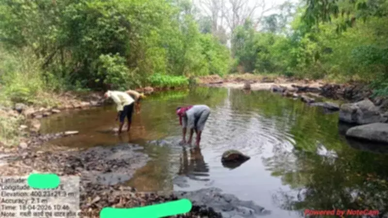 Udanti Sitanadi Tiger Reserve Deploys Watchers to Reduce Human-Wildlife Conflict