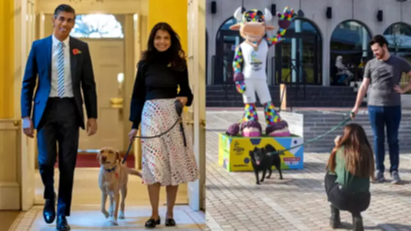 UK Pet Owners Face New EU Travel Rules: Animal Health Certificates Replace Passports