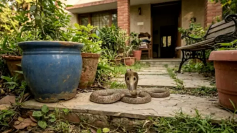 Understanding Common Snakes in Gardens and Homes: A Safety Guide