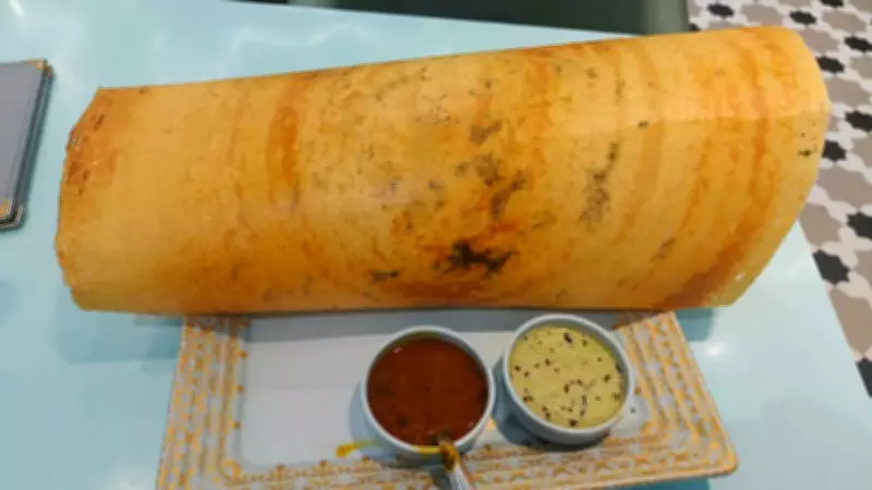 Understanding Khiru: How to Spot and Prevent Spoiled Dosa Batter