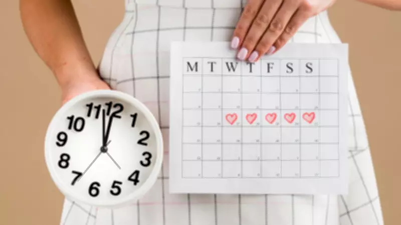 Understanding Ovulation and the Fertile Window: A Comprehensive Guide for Conception