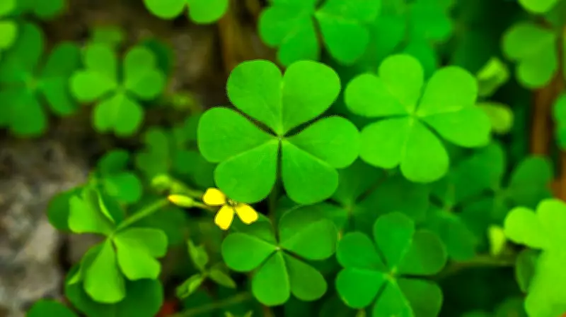 Uninvited Garden Guests: Decoding the Quirks of Nature's Surprise Visitors