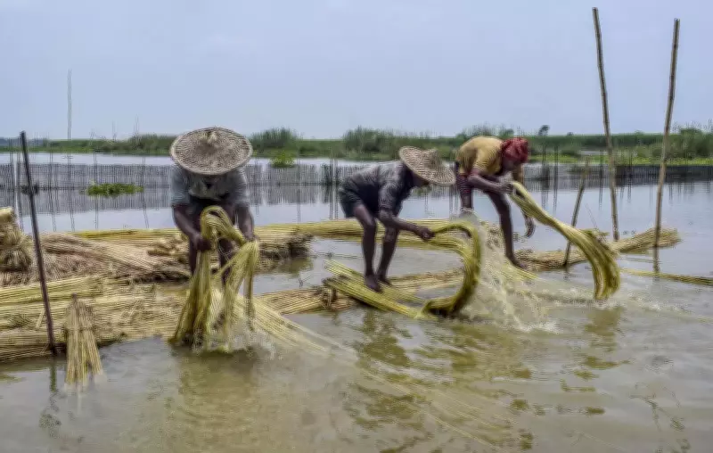 Union Minister Giriraj Singh Unveils Plan to Make Bihar India's Jute Gateway