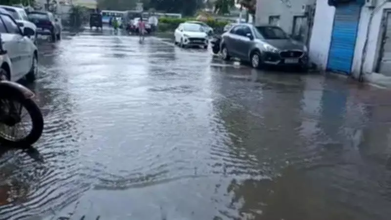Unseasonal April Deluge Drenches Gujarat's Saurashtra Coast, Disrupts Life