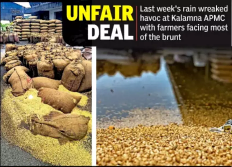 Unseasonal Rains Expose Flaws in APMC Auction System, Leaving Farmers Vulnerable
