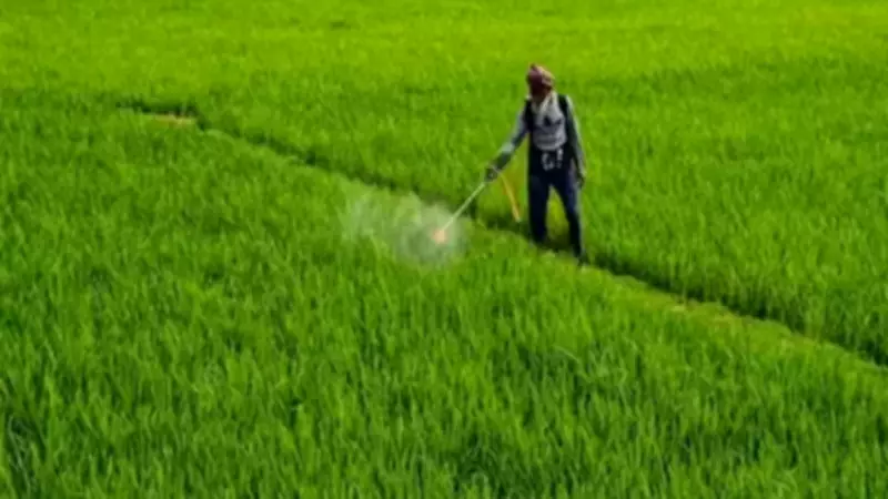 Urea Prices Double Amid West Asia Conflict, India Explores Digital Curb on Fertiliser Use