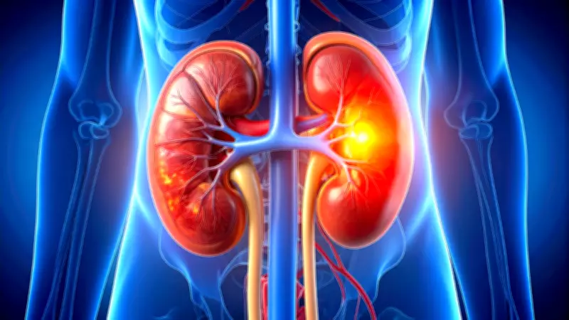 Uric Acid vs Creatinine: Decoding Kidney Health Markers and Their Vital Differences