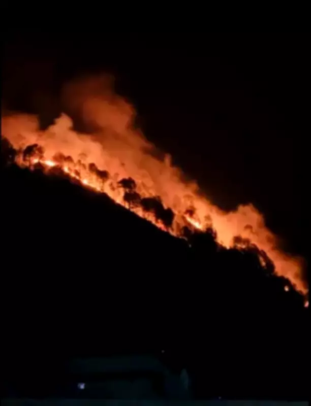 Uttarakhand Battles Rising Forest Fires: 260 Alerts Issued, Health Concerns Mount