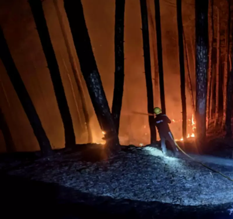 Uttarakhand Forest Fires: 63 Hectares Gutted, Enhanced Response Curbs Damage