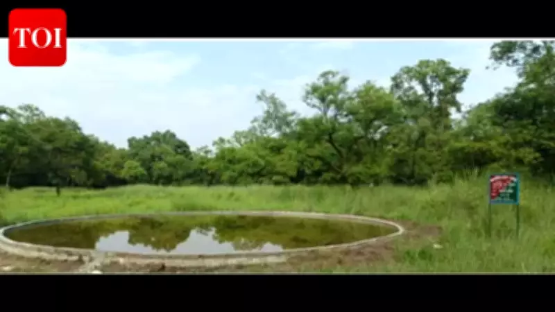 Valmiki Tiger Reserve Boosts Waterholes and Grasslands to Protect Wildlife in Summer