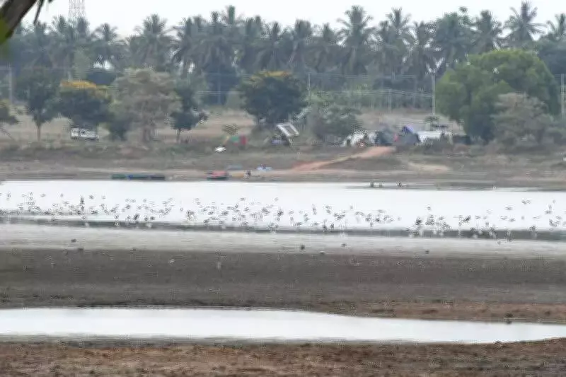 Varuna Lake Development Sparks Debate in Mysuru