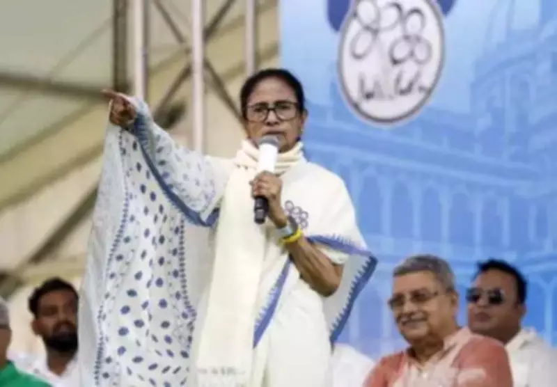 Vijay, Soren, Kejriwal, Tejashwi Rally Behind Mamata Banerjee Ahead of Bengal Phase 2