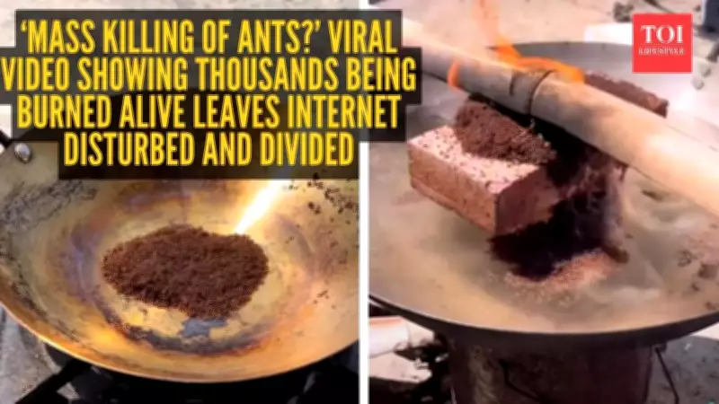 Viral Ant Torture Video Sparks Debate on Content and Audience Role