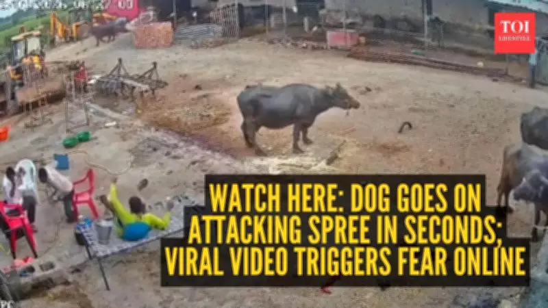 Viral Dog Attack Video Sparks Widespread Fear and Rabies Concerns Online