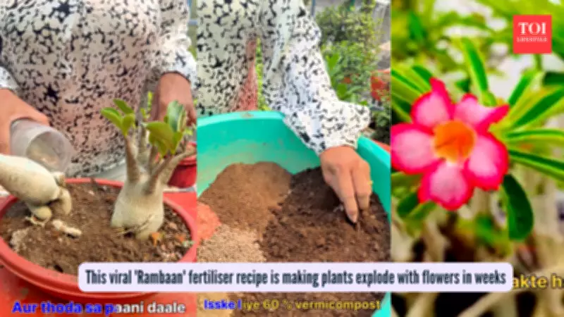 Viral Gardening Hack: Secret Homemade Fertilizer Recipe for Explosive Flower Blooms