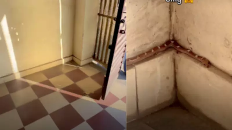 Viral Video Reveals Snake Camouflaged in Home Corner, Sparking Widespread Alarm