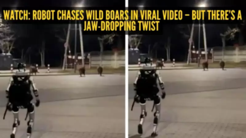 Viral Video Shows Humanoid Robot Chasing Wild Boars in Poland
